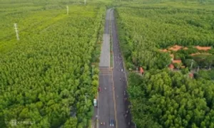 TP HCM sẽ giữ nguyên gần 35.000 ha rừng ngập mặn Cần Giờ